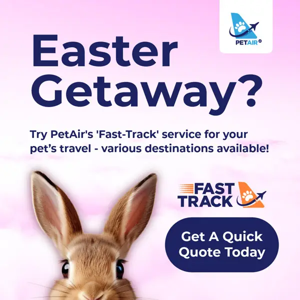 Fast-Track services for Easter pet travel with PetAir UK
