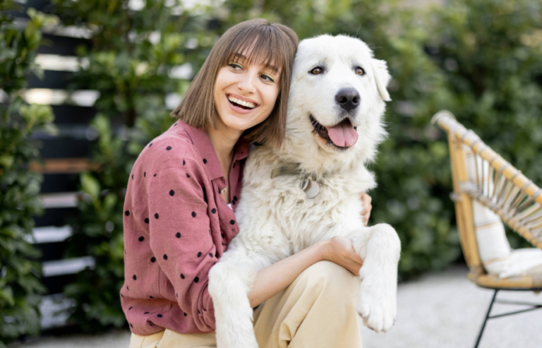 IATA Live Animals Regulations Explained | PetAir UK