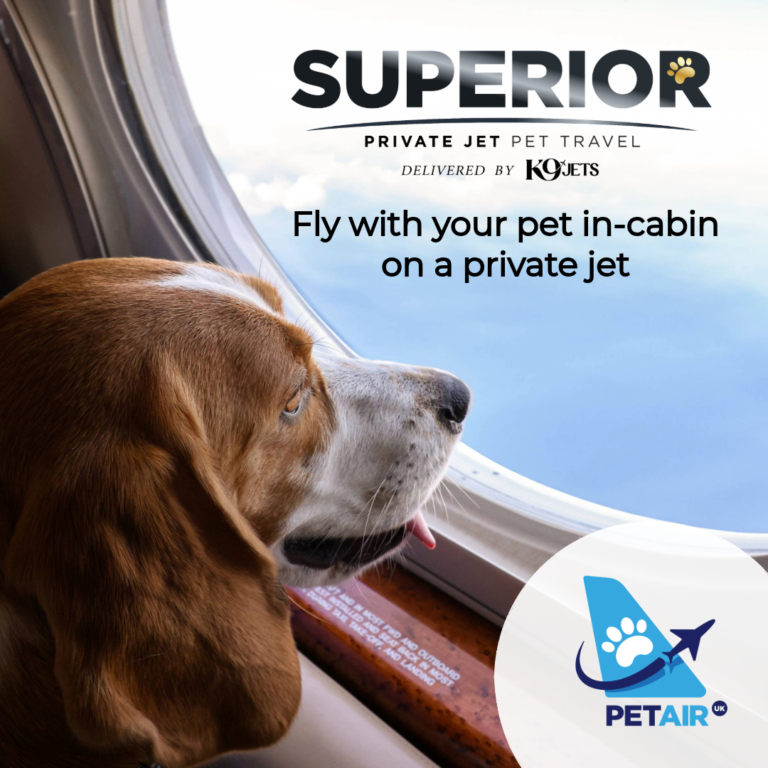 Superior Package - K9Jets | PetAir UK