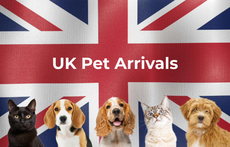 Bringing pets into the UK | PetAir UK