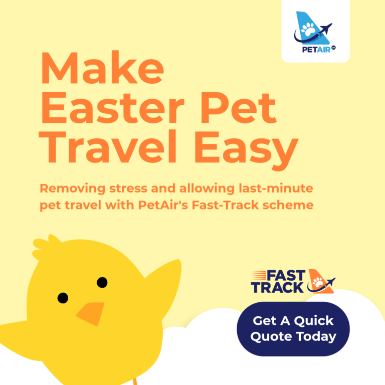 Fast-Track services for Easter pet travel with PetAir UK