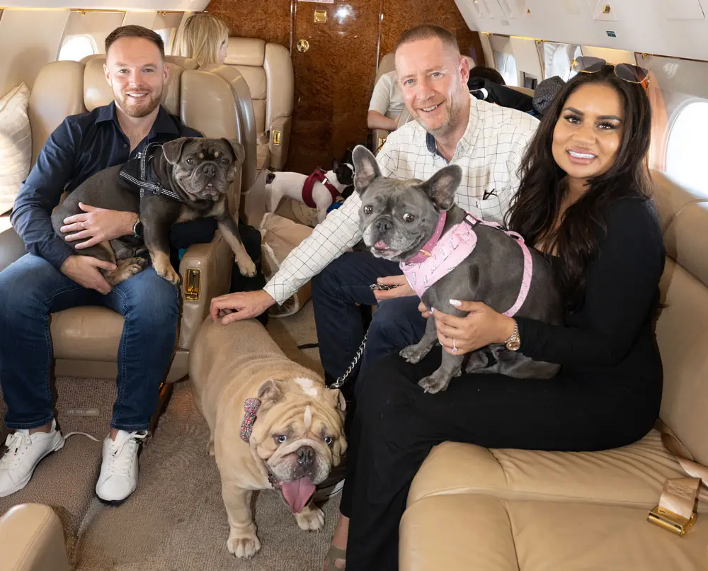 Superior package - In-Cabin pet travel delivered by K9 Jets