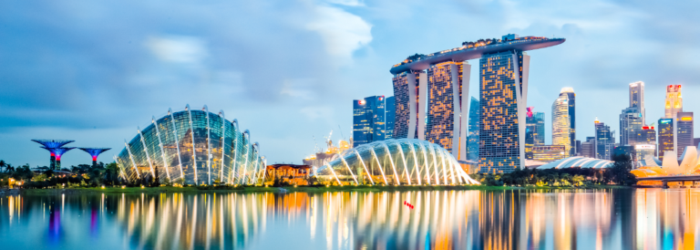 Pet Travel to Singapore | Vet-Led UK Flights – PetAir UK