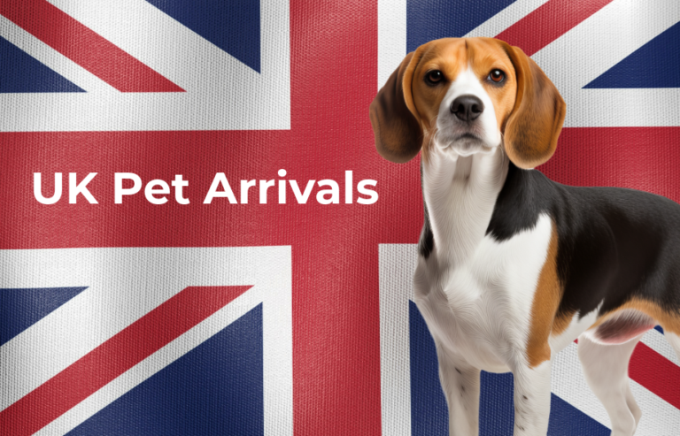 Moving your pet into the UK | PetAir UK