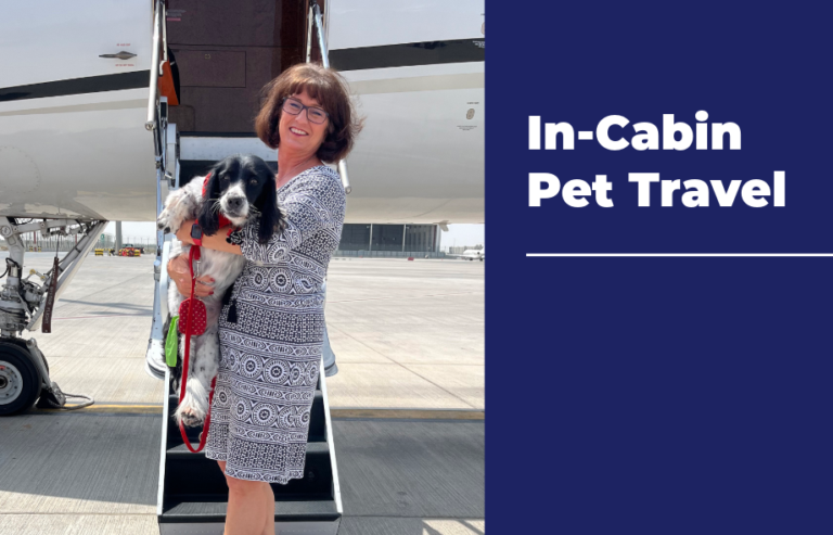 Can my pet fly with me on a private jet | PetAir UK