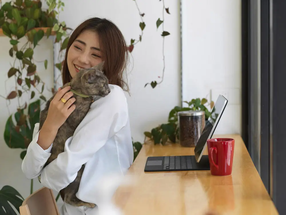 Pet shipper accreditations checks | PetAir UK