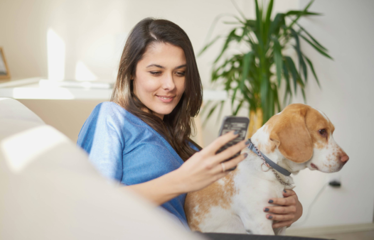 Pet shipper accreditations checks | PetAir UK