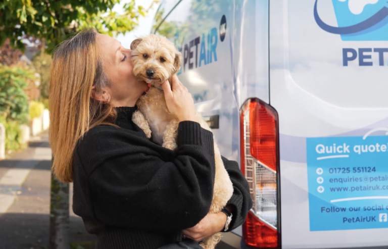 Why choose accredited pet shippers over DIY