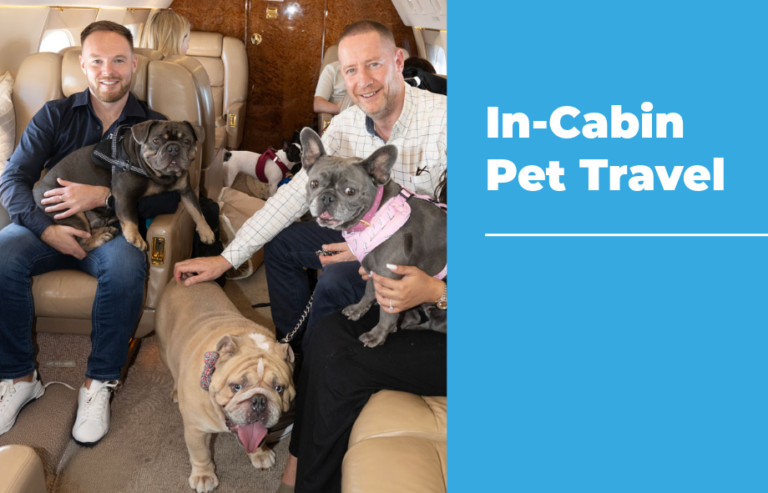 In-cabin pet travel | PetAir UK