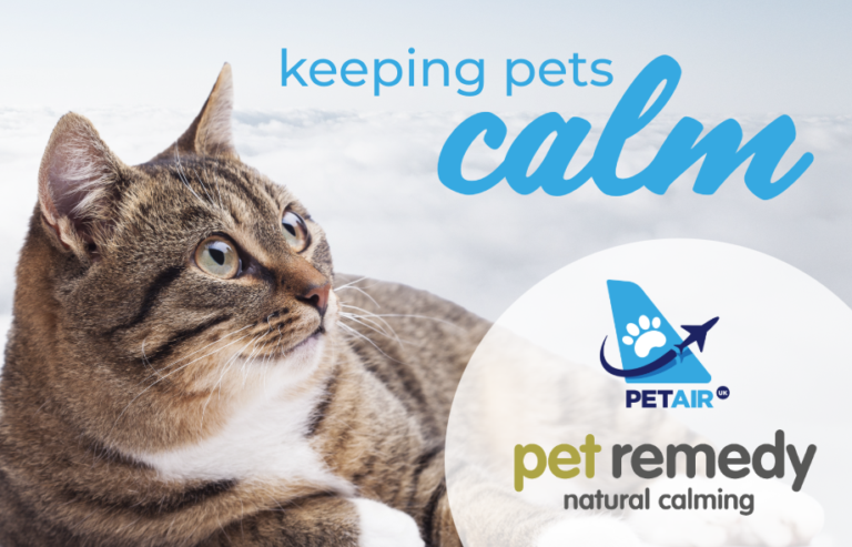 Pet Remedy partnering with PetAir UK - pet calming products