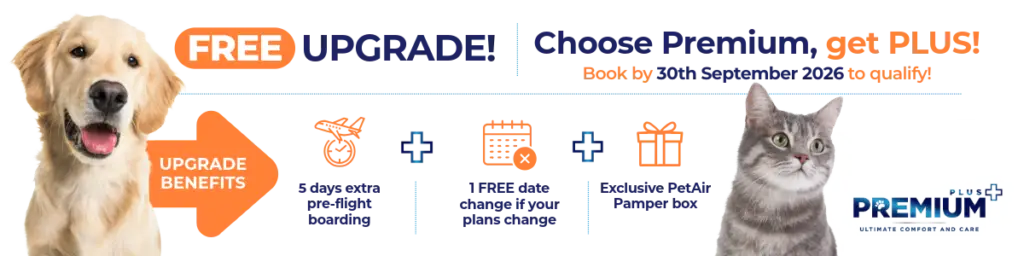 !! Limited Time Offer!! - Choose Premium and get Premium Plus in September 2026.