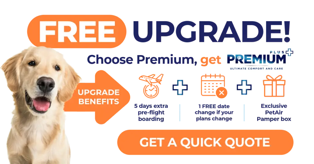 !! Limited Time Offer!! - Choose Premium and get Premium Plus in September 2026.